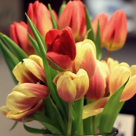 Firstboarding Апарт-отель